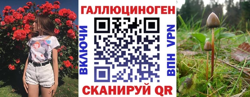 Галлюциногенные грибы Magic Shrooms  Златоуст 