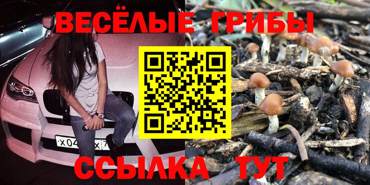 Псилоцибиновые грибы Psilocybine cubensis Златоуст